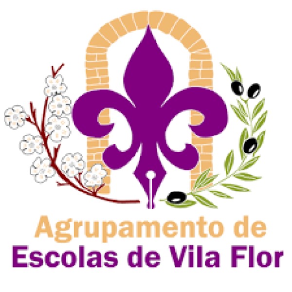 Agrupamentos de Escolas de Vila Flor 